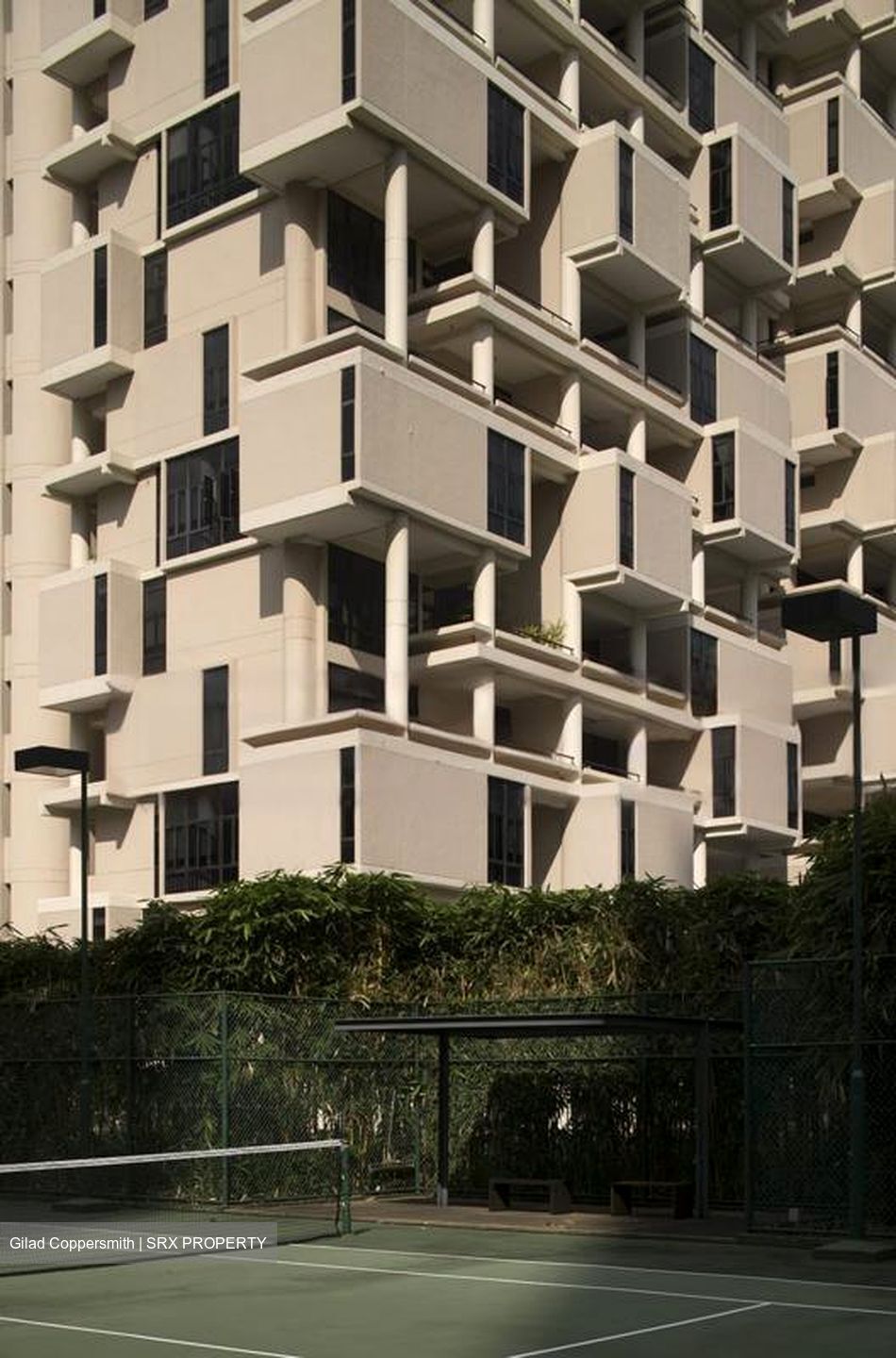 The Colonnade (D10), Condominium #443844571